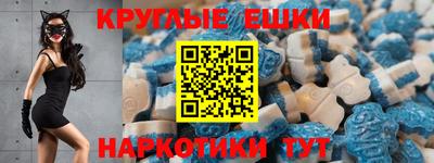 гашик Кулебаки