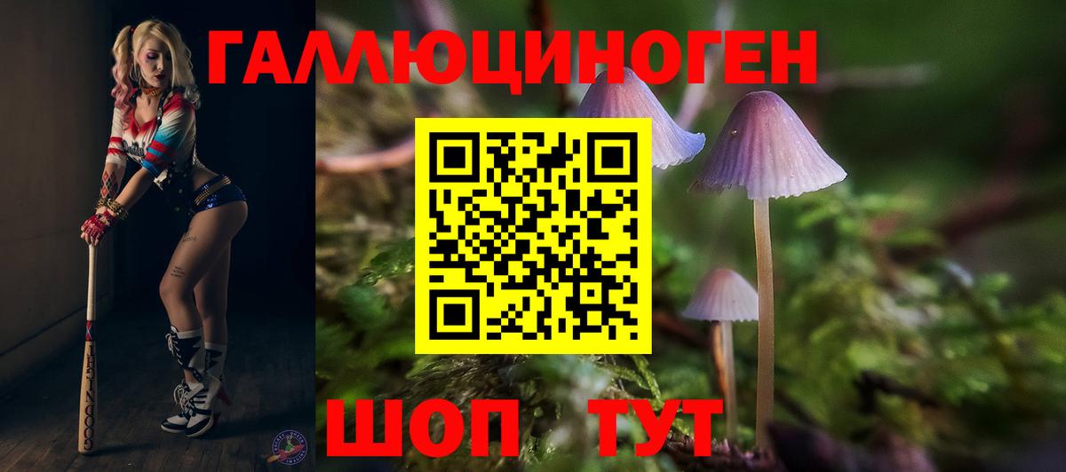 Галлюциногенные грибы Psilocybine cubensis  Псилоцибиновые грибы Magic Shrooms  Приморско-Ахтарск  Вход с VPN 
